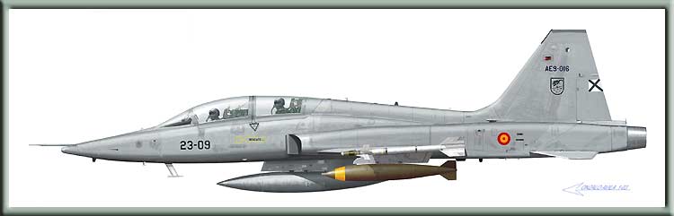 Ilustración F-5M de Gonzalo Avila